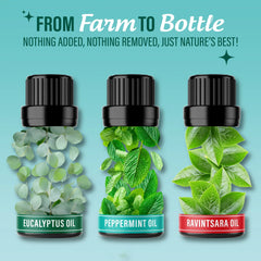 Breathe Essential Oil, 10 ML – 3 Pack